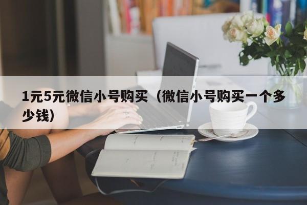 1元5元微信小号购买（微信小号购买一个多少钱）