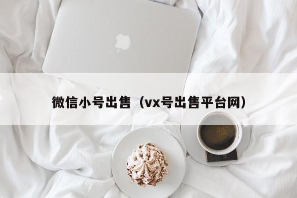 微信小号出售（vx号出售平台网）