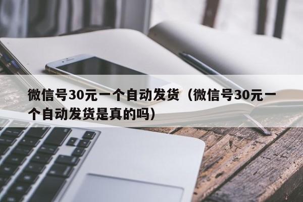 微信号30元一个自动发货（微信号30元一个自动发货是真的吗）
