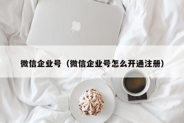 微信企业号（微信企业号怎么开通注册）