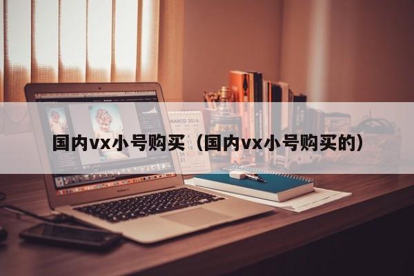 国内vx小号购买（国内vx小号购买的）
