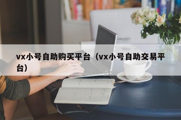vx小号自助购买平台（vx小号自助交易平台）
