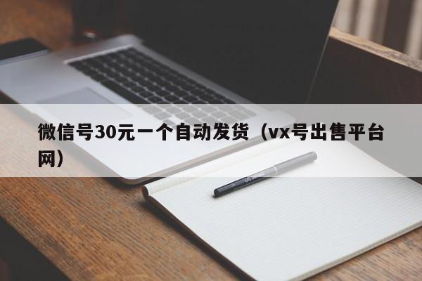 微信号30元一个自动发货（vx号出售平台网）