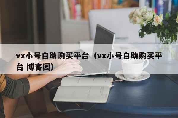 vx小号自助购买平台（vx小号自助购买平台 博客园）