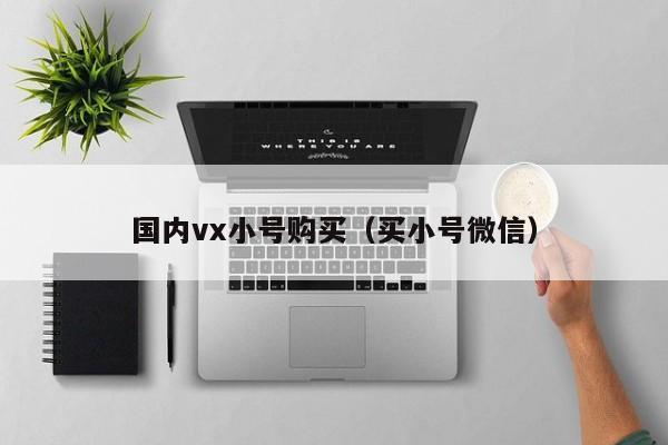 国内vx小号购买（买小号微信）