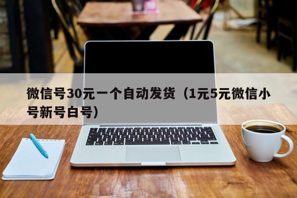 微信号30元一个自动发货（1元5元微信小号新号白号）