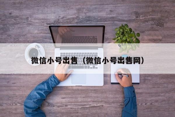 微信小号出售（微信小号出售网）