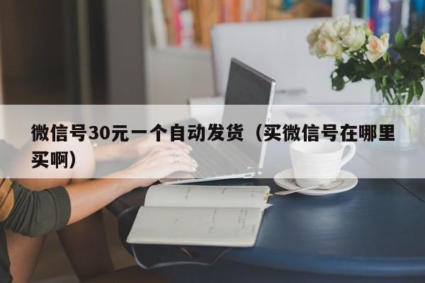 微信号30元一个自动发货（买微信号在哪里买啊）