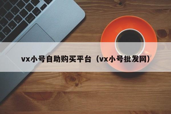vx小号自助购买平台（vx小号批发网）
