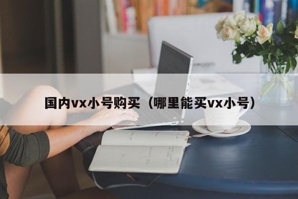 国内vx小号购买（哪里能买vx小号）